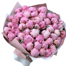  Send Kemer Flowers 51 Adet Pembe Pion Buket