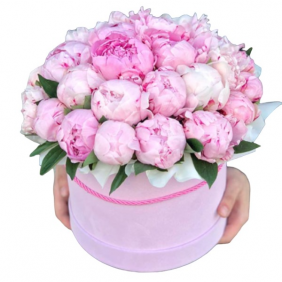  Kemer Florist 29 pc. Pink Pions in Pink Box