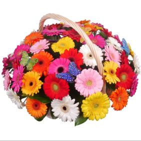 Kemer Florist 51 Colorful Gerberas in Basket