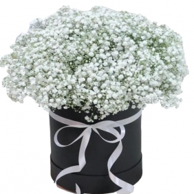  Kemer Florist White Gypsophila in Black Box