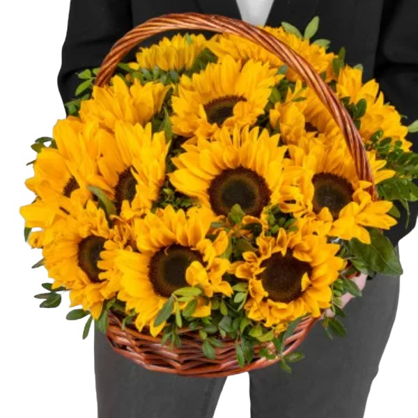  Kemer Flowers Delivery 15 Adet Sepette Ayçiçeği Aranjmanı