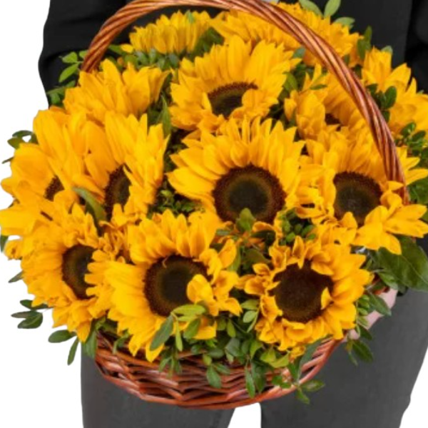  Kemer Flowers 15 Sunflower Arrangements in a Basket