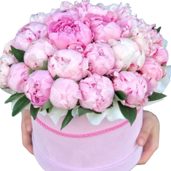  Kemer Flowers Order 29 Adet Pembe Pion Pembe Kutuda