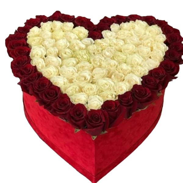  Kemer Flowers Order 101 Red and White Roses in Heart Box